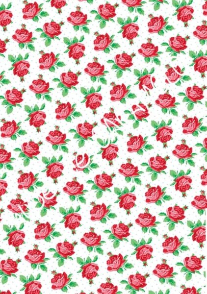PapelCath Kidston 6