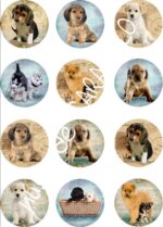 Papel de azucar perritos