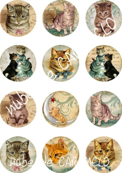 Papel de azucar gatitos