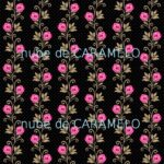 Rosas rosas y negro