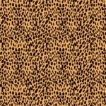 Animal Print 5