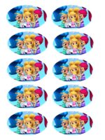 Papel Shimer y Shine