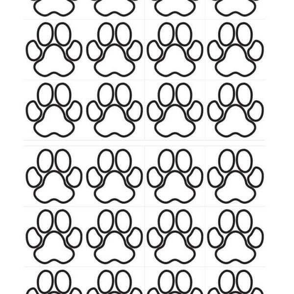 Papel de azúcar patrulla Canina 1