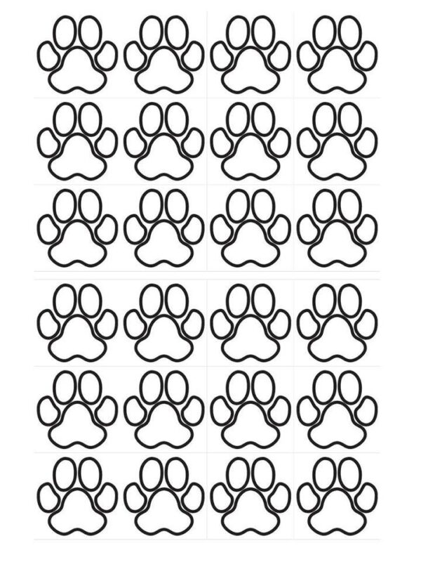Papel de azúcar patrulla Canina 1