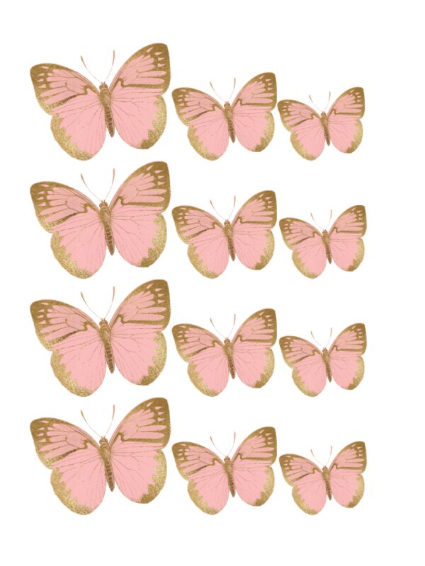 Oblea mariposas 3