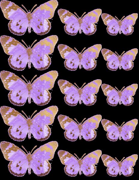 Oblea mariposas 4