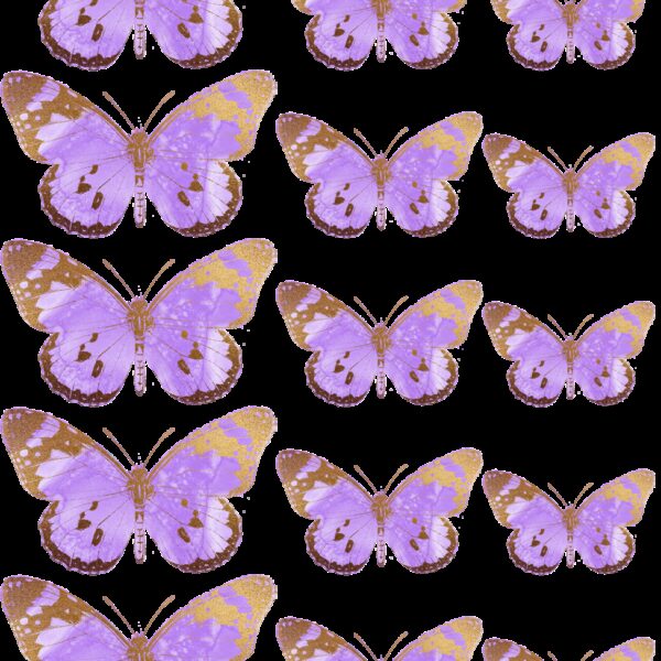 Oblea mariposas 4