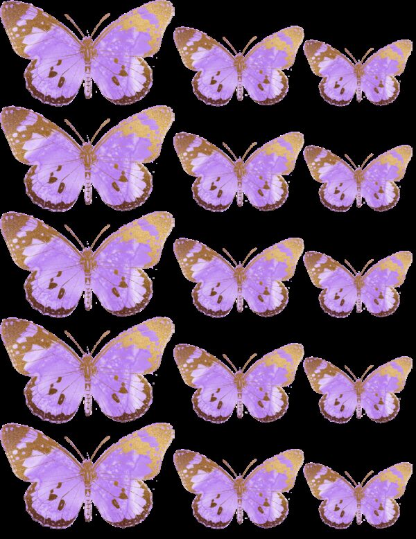 Oblea mariposas 4