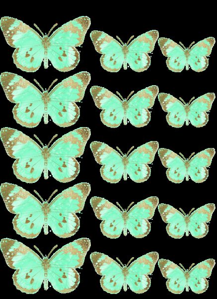 Oblea mariposas 5