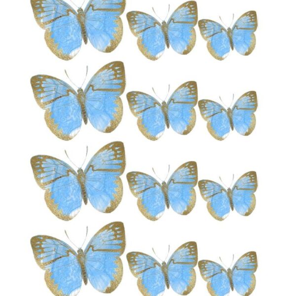Oblea mariposas 6