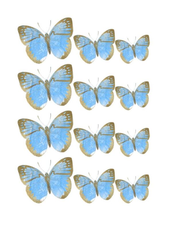 Oblea mariposas 6