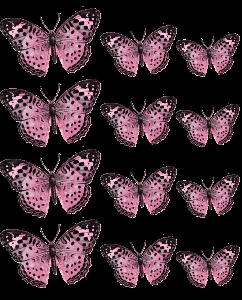 Oblea mariposas 6