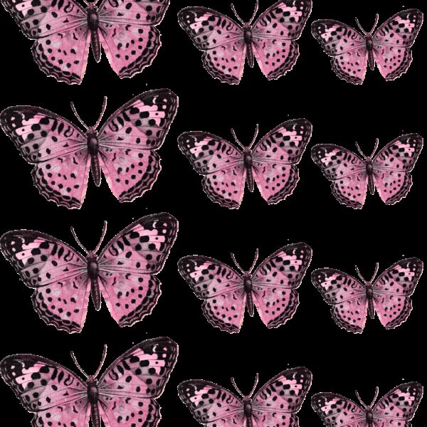 Oblea mariposas 6