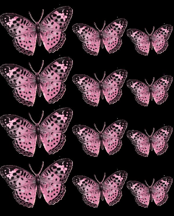 Oblea mariposas 6