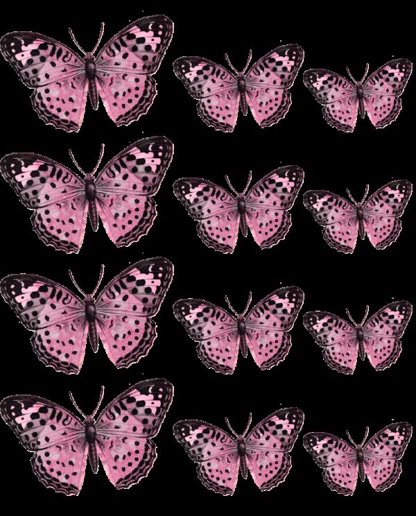 Oblea mariposas 6