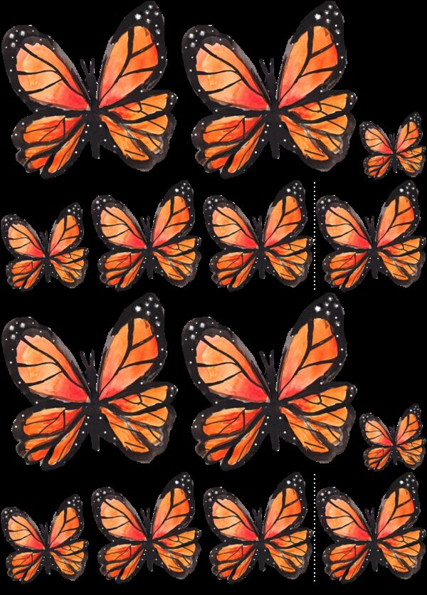 Oblea mariposas 8