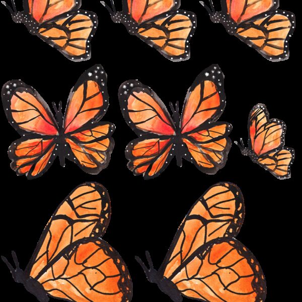 Oblea mariposas 9