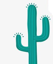 Topper cactus