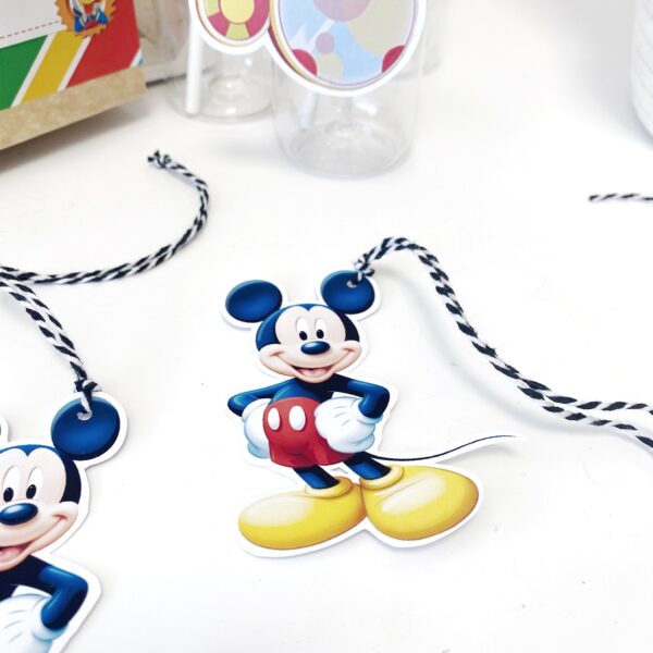 Foto alternativa mickey 1