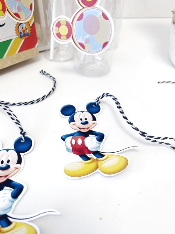 Foto alternativa mickey 1