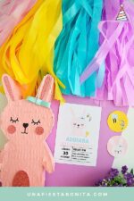 foto alternativa 1 conejita