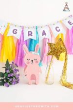 foto alternativa 3 conejita