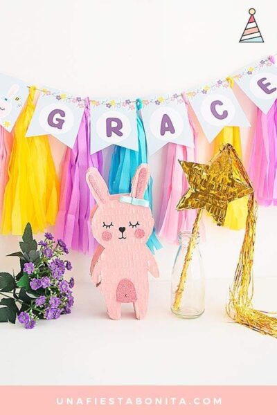 foto alternativa 3 conejita