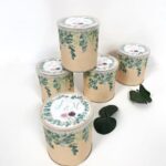 Mini pringles Rosas de Eucalipto
